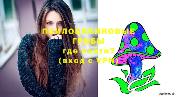 альфа пвп Верхнеуральск