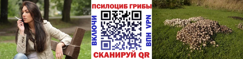 Галлюциногенные грибы MAGIC MUSHROOMS  Чебаркуль 