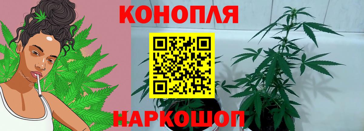 Конопля VHQ Чебаркуль